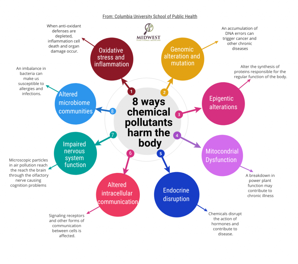 8 Ways pollutants harm the body